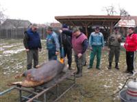 Hagyom�nyteremt� diszn�tor 2014.