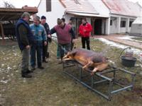 Hagyom�nyteremt� diszn�tor 2014.