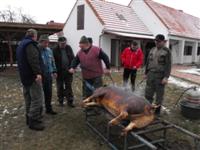 Hagyom�nyteremt� diszn�tor 2014.