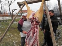 Hagyom�nyteremt� diszn�tor 2014.