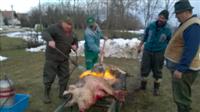 Hagyom�nyteremt� diszn�tor 2015.