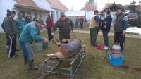 Hagyom�nyteremt� diszn�tor 2015.
