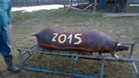 Diszn�tor 2015.