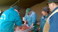 Hagyom�nyteremt� diszn�tor 2015.