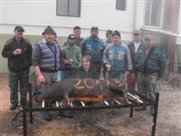 Diszn�tor 2017.