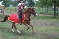 Lovasbemutat�