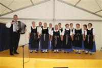 Falunap 2012.