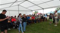 Falunap 2015.