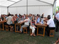 Falunap 2016.