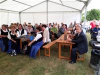 Falunap 2017.
