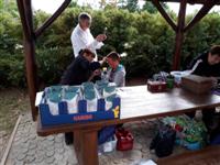 �j�sFalunap 2017.zat