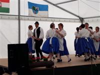Falunap 2017.