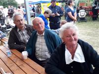 Falunap 2017.