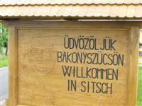 Faluszépítés 2014.