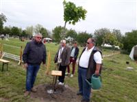 Fa�ltet�s Cs�ton