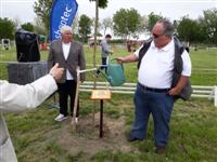 Fa�ltet�s Cs�ton