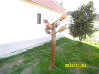 N�prajzi h�z - Bakonysz�cs
