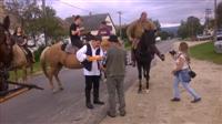 Sz�reti felvonul�s 2014.