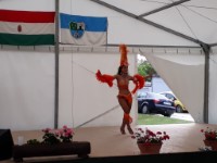 Falunap 2019.