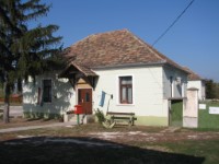 Bakonysz�csi k�pek