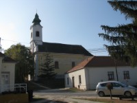 Bakonysz�csi k�pek