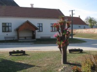 Bakonysz�csi k�pek