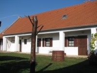 Bakonysz�csi k�pek