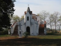 Bakonysz�csi k�pek