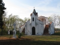 Bakonysz�csi k�pek