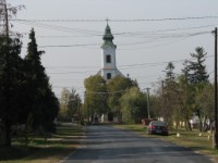 Bakonysz�csi k�pek