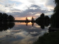 Bakonysz�csi k�pek
