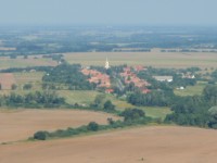 Bakonysz�csi k�pek