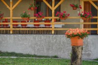 Bakonysz�csi sz�ll�