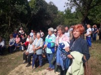 Zs�rki b�cs� 2018.